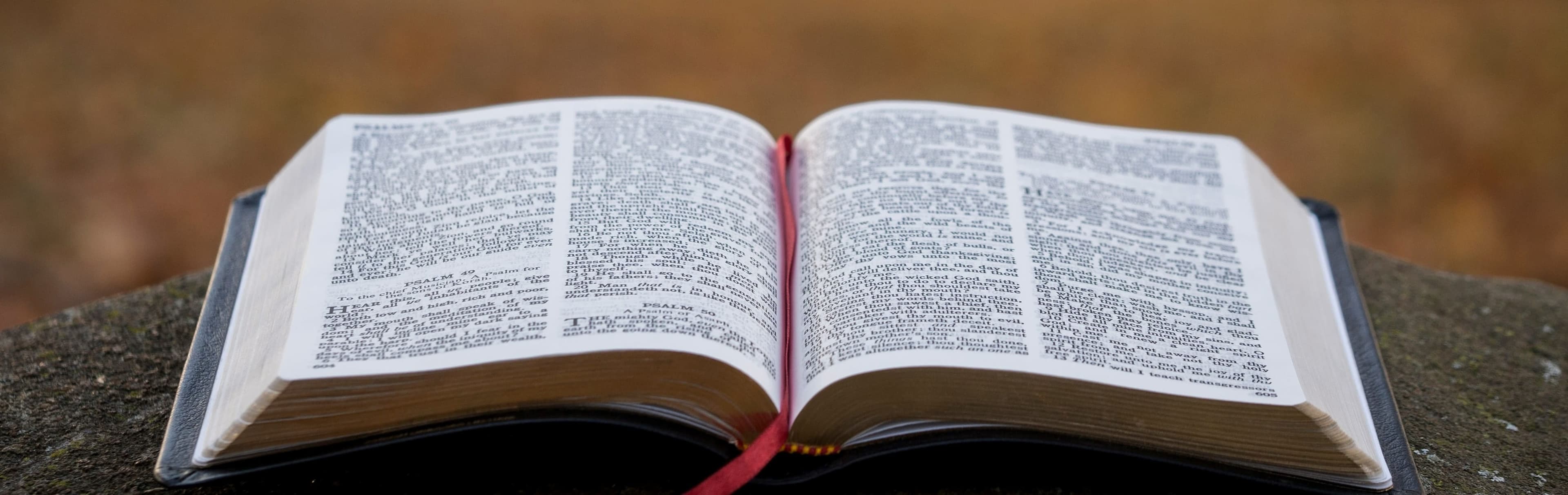 An open Bible resting on stone in an autumn forest